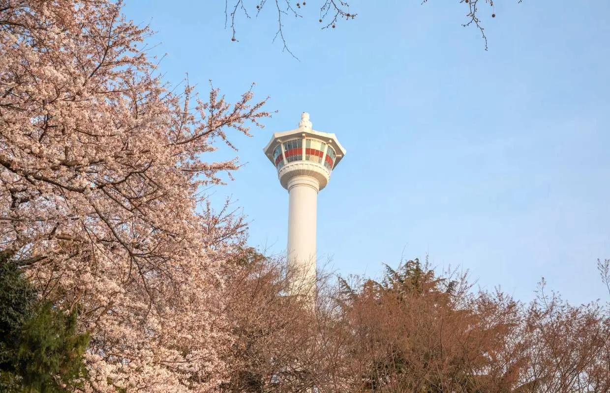 釜山塔展望台門票