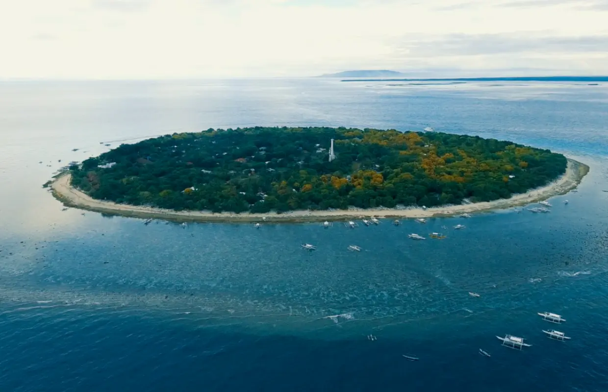 Tour tham quan đảo Panglao và ngắm cá heo ở Balicasag & Quần đảo Virgin (Bao gồm phiếu ăn miễn phí) | Philippines