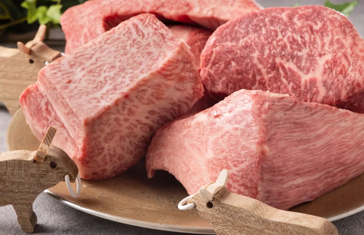 Tsukishima/Kachidoki, Tokyo | Steak Yakiniku Namonaki Meiten e Ittou Nyuukon Ichimai Uri Yakiniku（Yakiniku 名もなき名店へ 一切入魂一枚売り焼肉）| Seat Reservation Only
