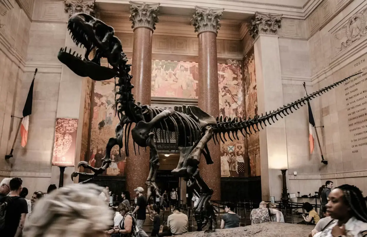 American Museum of Natural History Ticket | New York