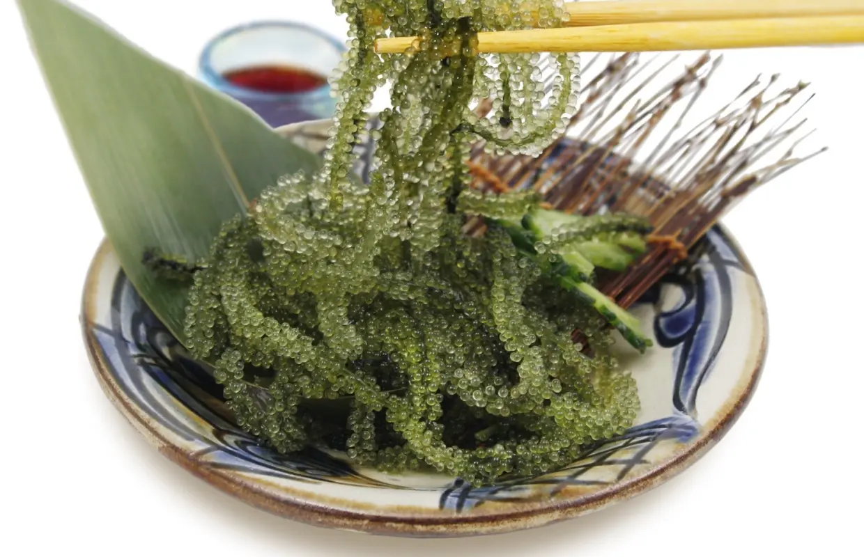 東京月島/勝哄 | 沖繩蕎麥麵 Coco Wa 沖繩 |僅座位預定