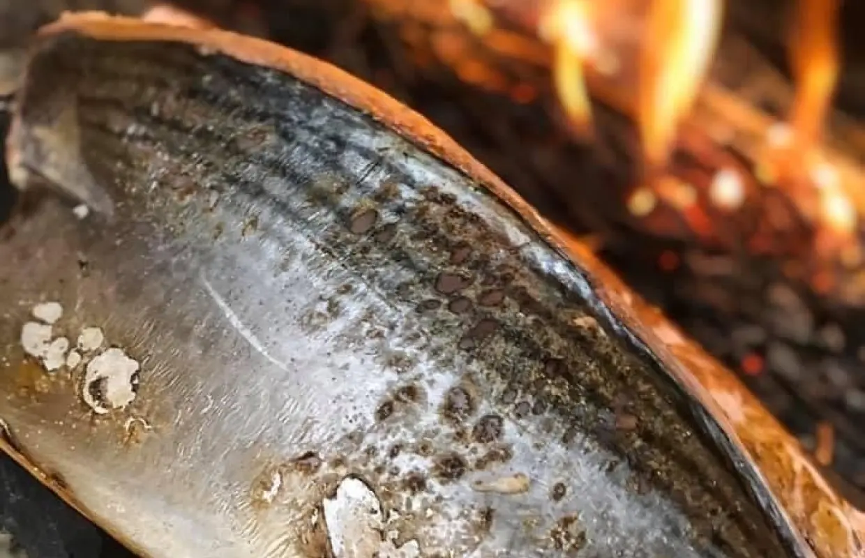 鹿兒島縣鹿兒島市 | 壽司 Sushi Ko Katsuo |僅座位預定