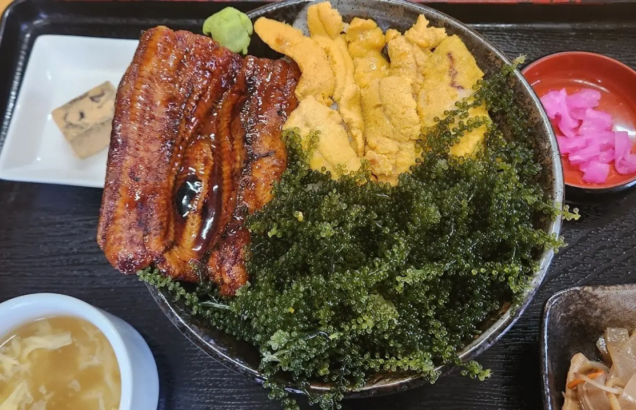 Bán đảo Motobu tỉnh Okinawa | Ẩm thực địa phương Nishikiya（錦屋） Chỉ đặt chỗ |