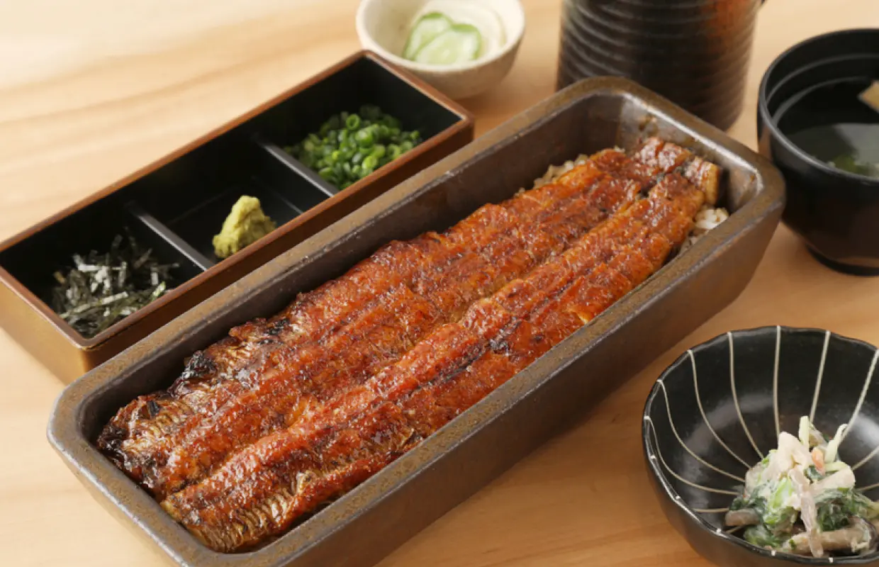 兵庫縣三宮 | 鰻魚四代目菊川居酒屋（鰻魚四代目菊川神戶三宮店）|僅座位預定