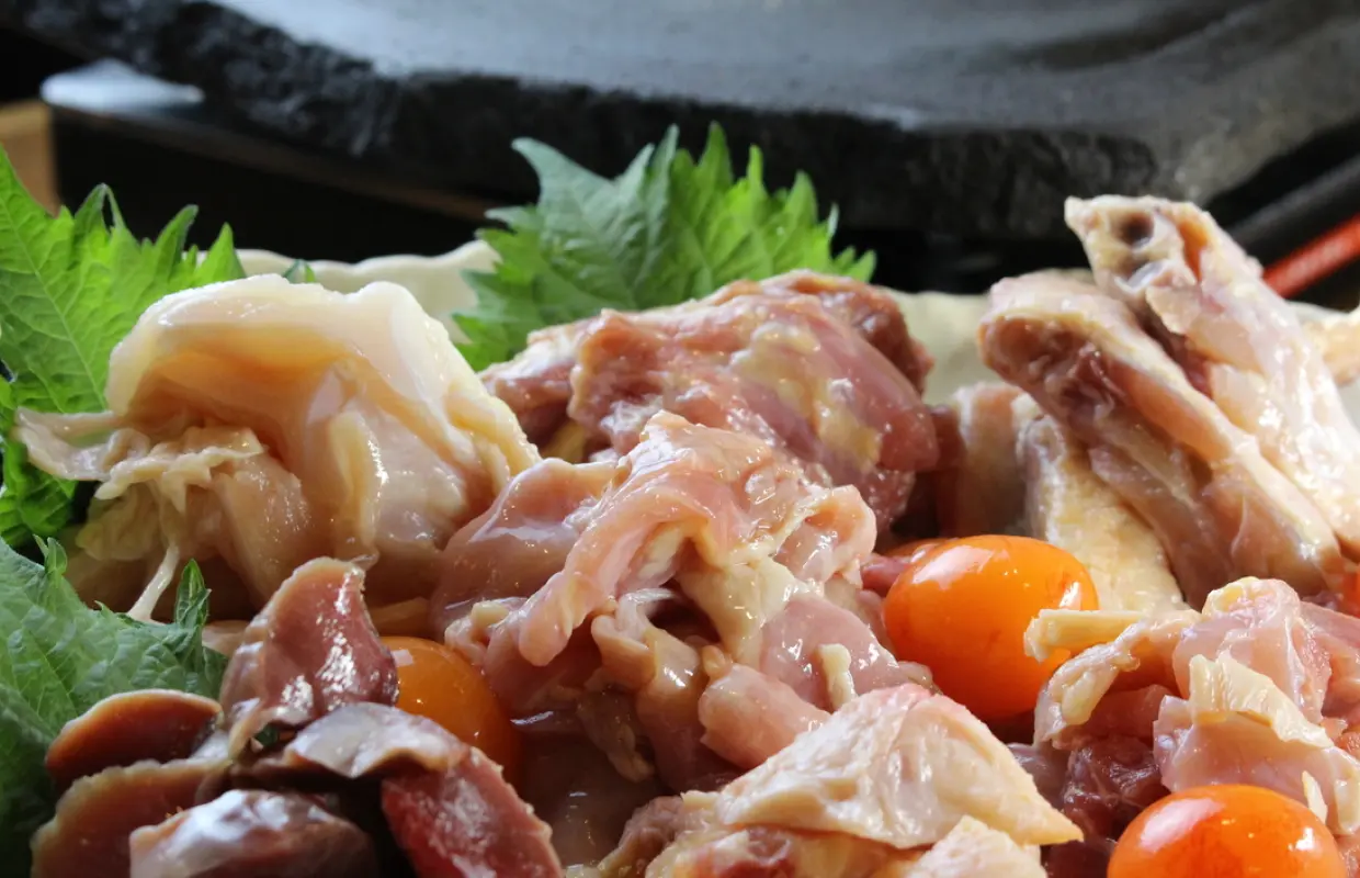 大阪府阿波座/西長堀｜烤肉地鳥烤肉Yogan Ya（地鳥烤肉Laiwaya阿波座店）|僅座位預定