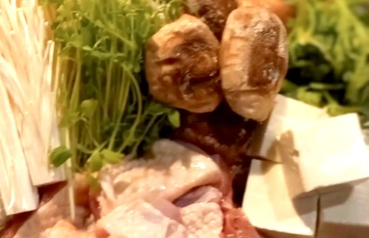 大阪府新大阪站週邊 | 餃子Sumidokoro Winwin（すみ処 うぃんうぃん）|僅座位預訂