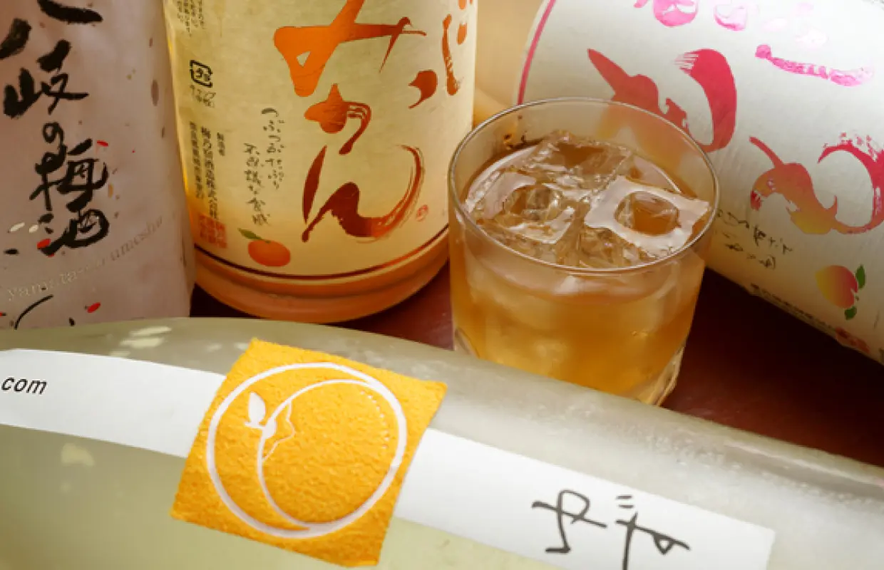 大阪本町/船場 |Tori ittetsu（鳥いってつ 本町店）|僅座位預定