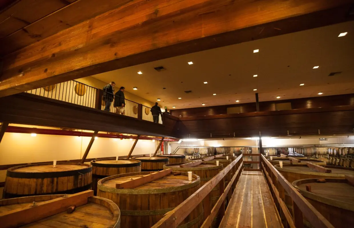 Napa Valley Winery Day Tour from San Francisco