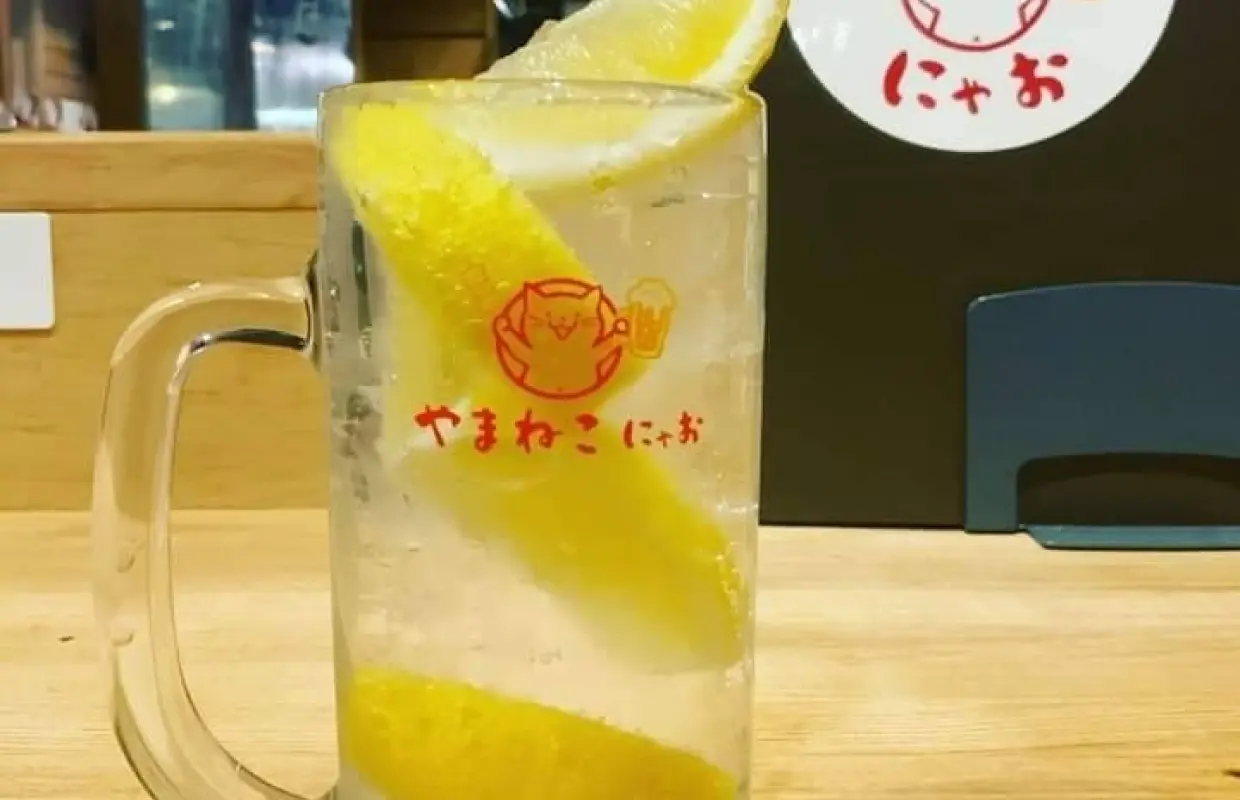 北海道北見、Rubeshi町、遠輕町地區 | 雞肉料理 Yamaneko Nyao |僅座位預訂