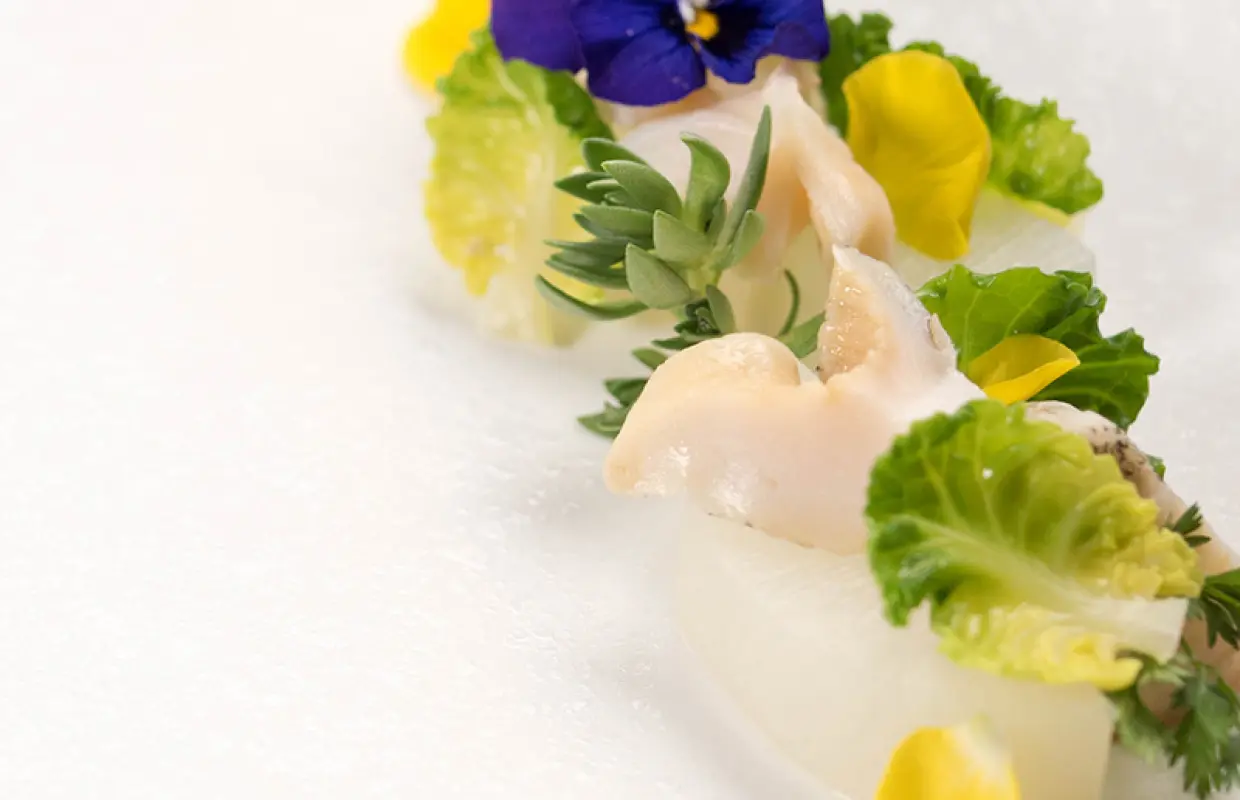 Kyoto Imperial Palace Area | Pasta Cucina Italiana Todo (Cucina Italiana Todo) | Seat Reservation Only