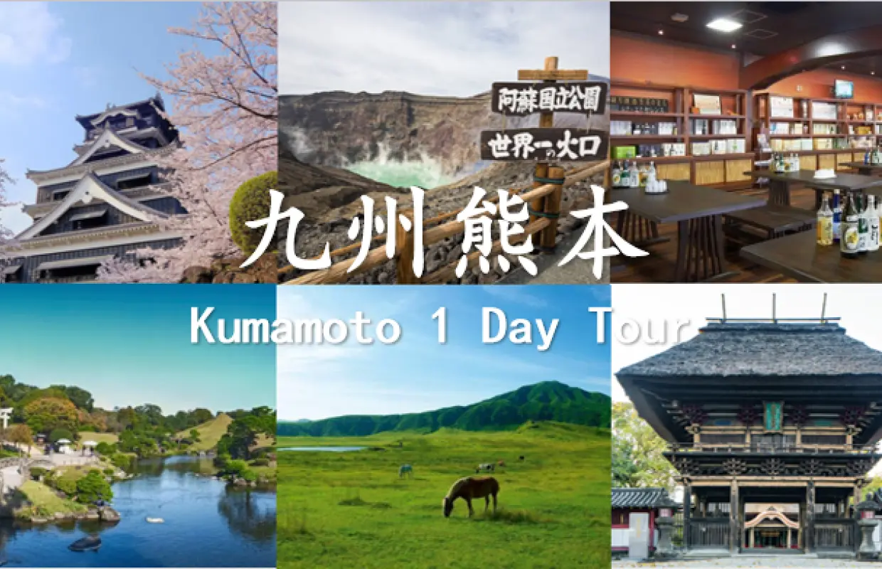 [One-day cruise] One-day tour of Kumamoto, Japan Kumamoto Castle/Hiroyoshi Onsen/Aso Volcano｜MSC Bellissima Glory｜Chinese tour guide