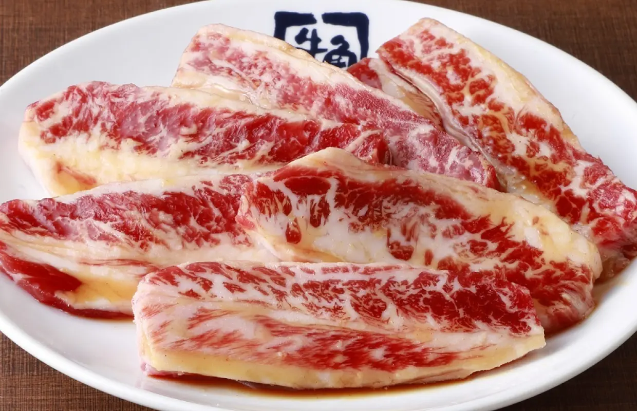 교토부 아야베·후쿠치야마 | 규카쿠(후쿠치야마 지점) | 좌석 예약 전용