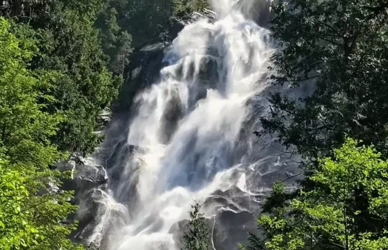 加拿大温哥华往返 大熊雨林探秘五日游【12人小团/雨林核心区域酒店】
