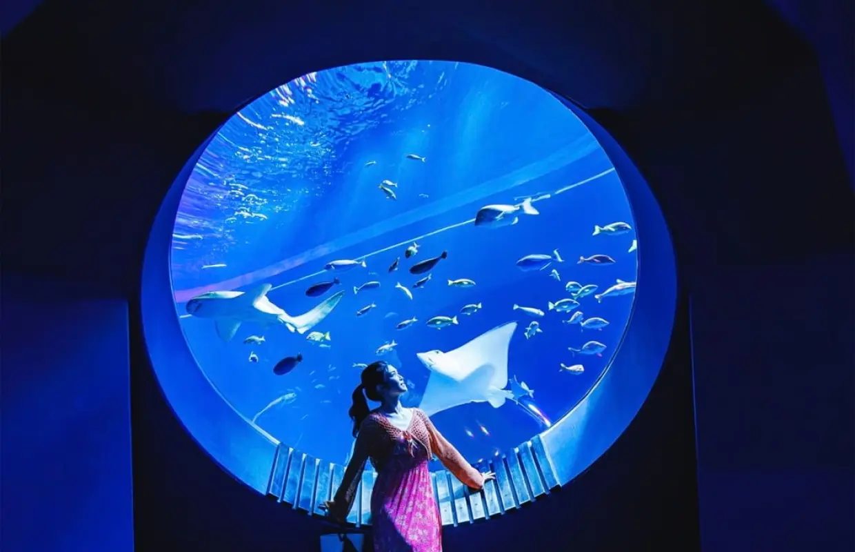 【日本旅遊】TXG沖繩OMG～光影水族館、恐龍主題公園、世界文化遺產、瀨長島屋台村四日