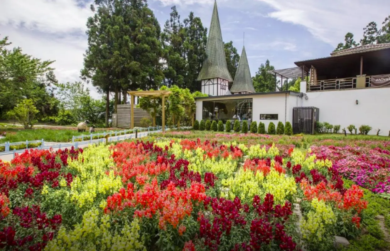 Nantou Cingjing Small Swiss Garden Tickets｜ THSR TourPlus