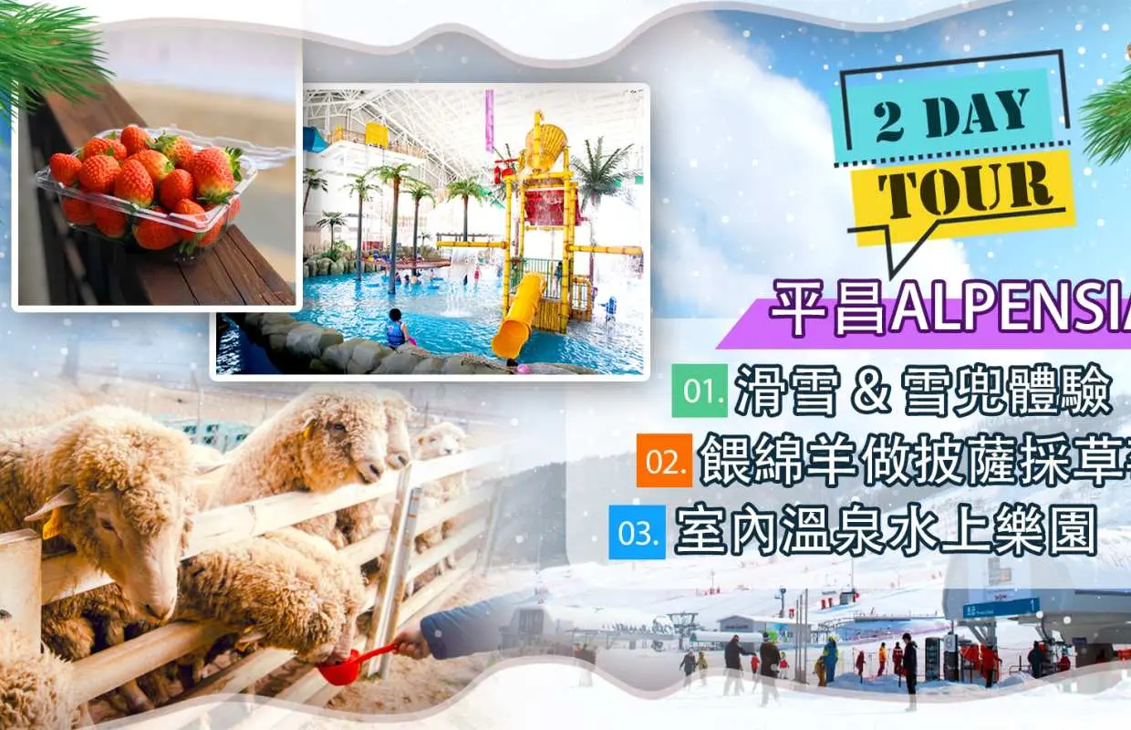 韓國首爾｜親子玩雪FUN FUN FUN！平昌ALPENSIA滑雪場、牧場餵綿羊做披薩、雪兜體驗、有機草莓園、室內溫泉水上樂園兩天團 (首爾出發)