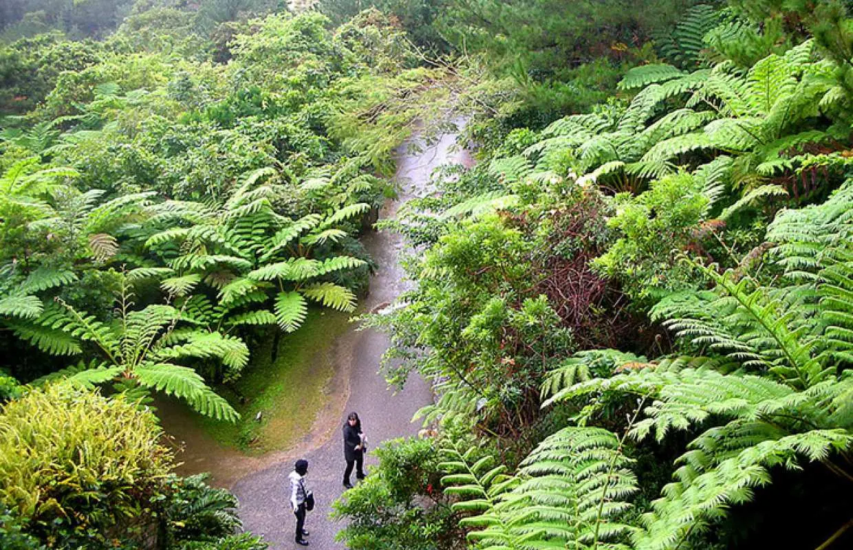 日本。沖縄｜自然生態テーマ植物園 ビオスの丘 ビオスの丘チケット