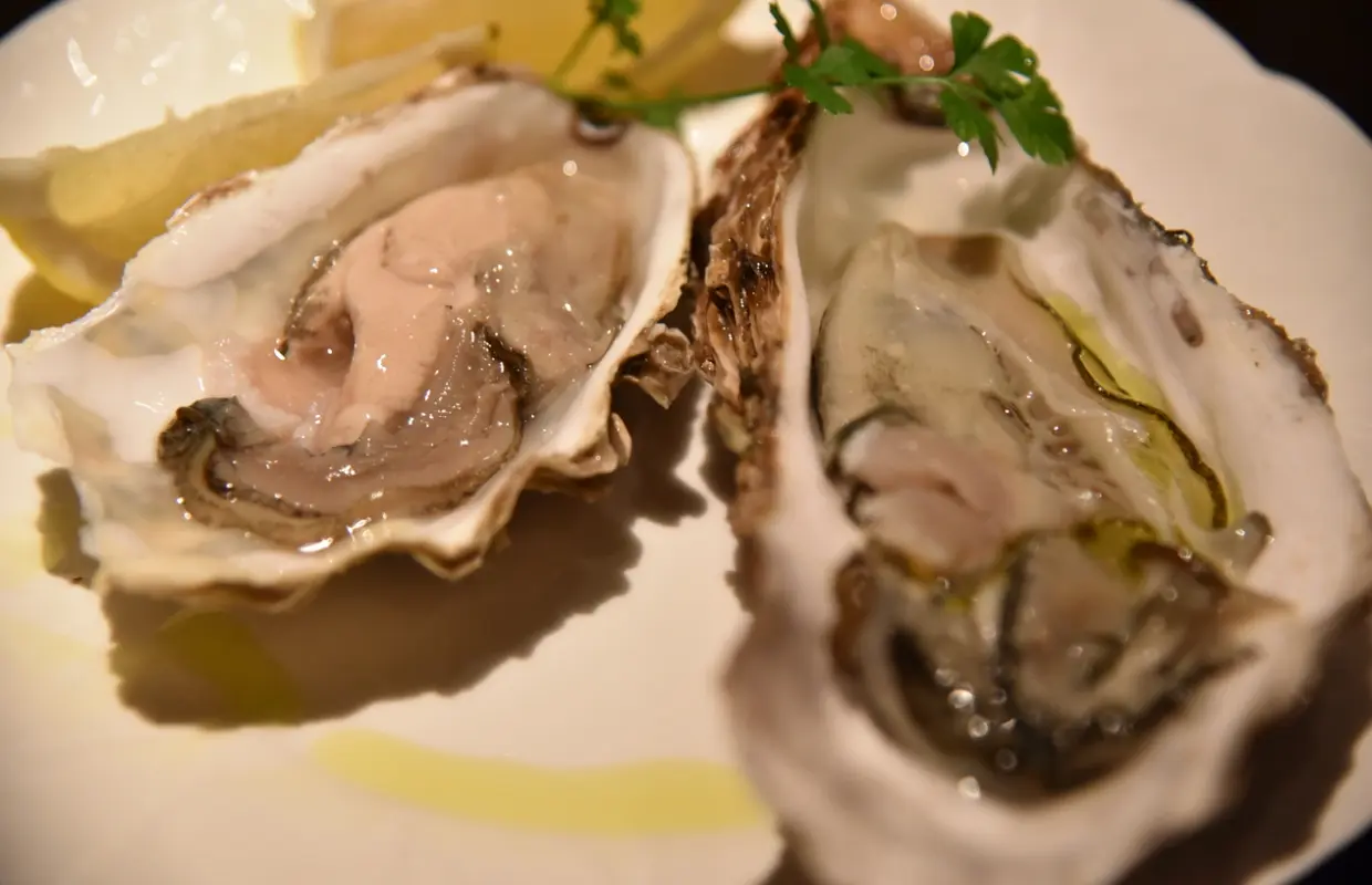 ฟุนาบาชิ จังหวัดชิบะ | บาร์อาหาร Prego Dining & Cafe-Bar（プレーゴDining&Cafe-Bar)| เฉพาะจองที่นั่งเท่านั้น