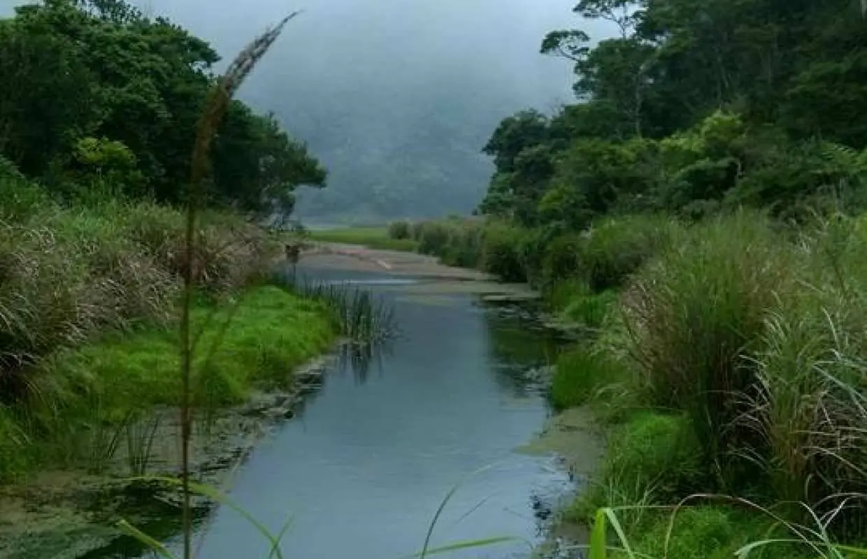 台灣宜蘭｜卡浪馬固工作室｜神秘湖 － 沉浸在水裡的植物園