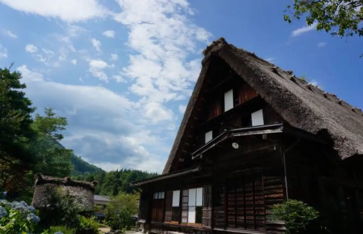 【日本旅遊】花現北陸～櫻百選霞間溪、合掌村兼六園、長島名花之里、名古屋萬怡酒店五日