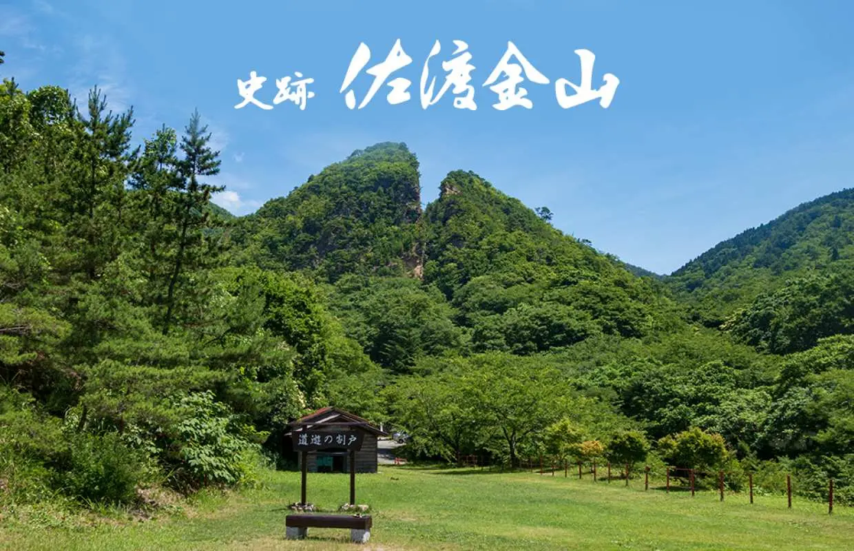 史跡佐渡金山　佐渡金山コース入場券