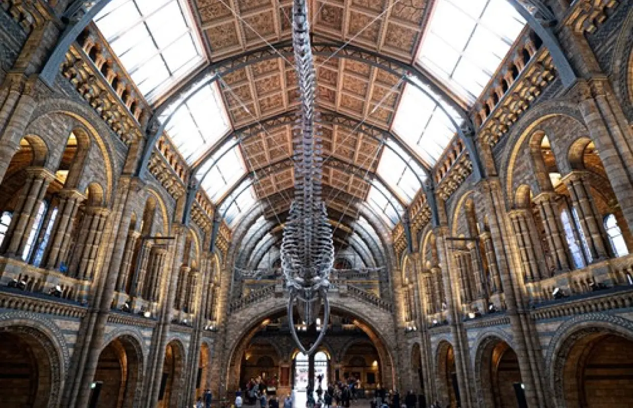 【歐洲旅遊】英國不思議～大英博物館、雙名校大學城、比斯特折扣城、我在倫敦半日閒七日
