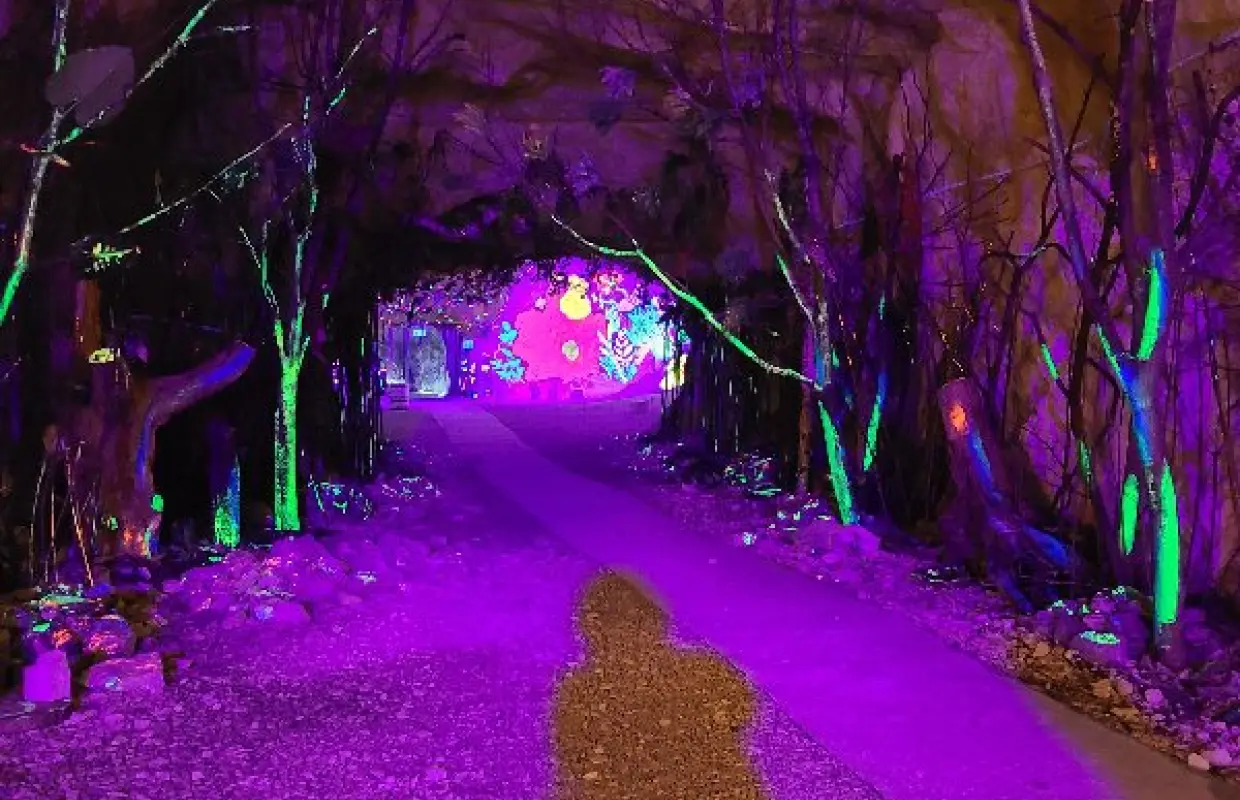 【韓國旅遊】清州首爾喜迎春～愛寶樂園、清風湖畔纜車、清州風情漫遊、汗蒸幕塗鴉秀五日