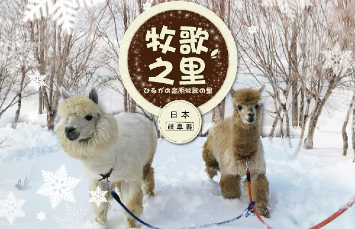 【日本旅遊】合掌村夢幻點燈～新穗高纜車、牧歌之里戲雪、庄川峽雪見舟、兼六園溫泉香五日