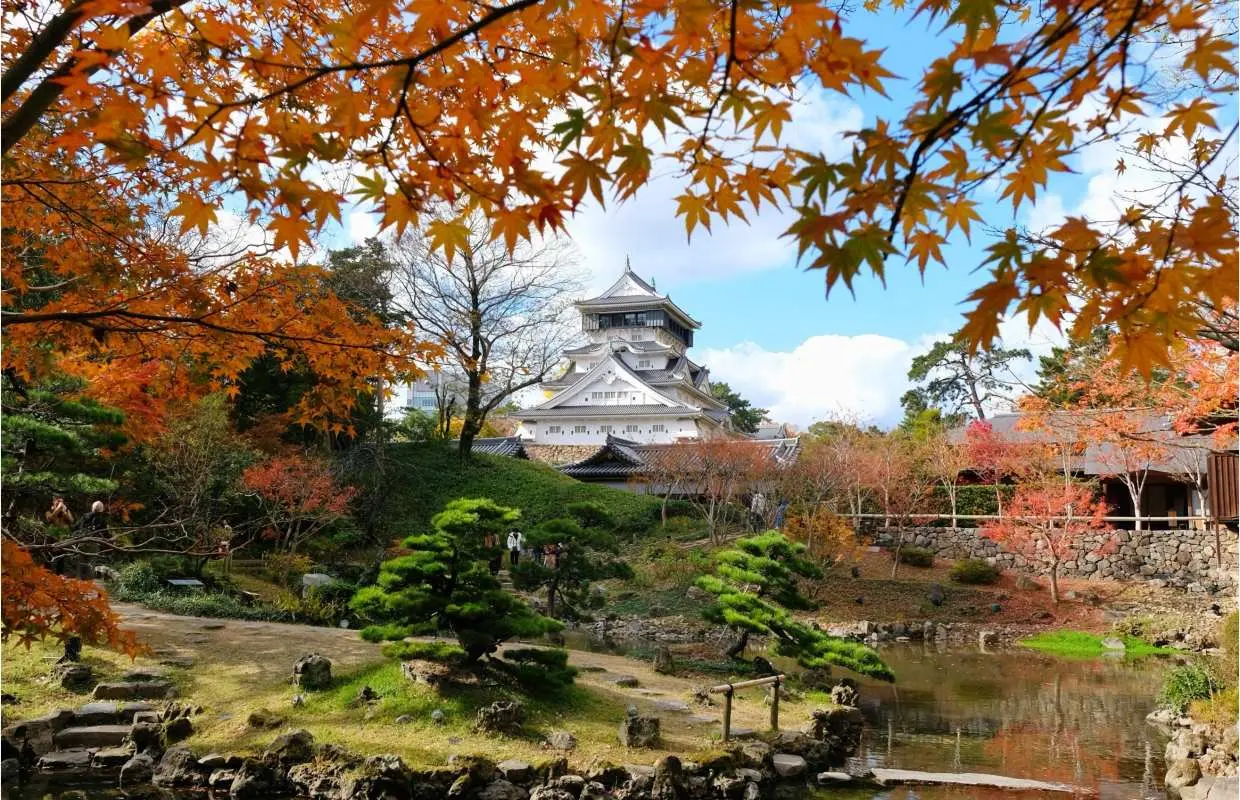 小倉城・小倉城庭園2施設共通券＋茶道体験