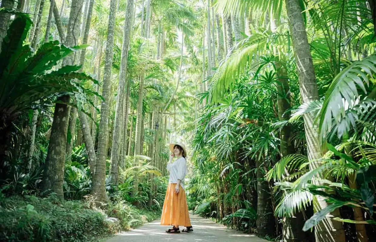 【日本旅遊】沖繩暢遊趣～光影水族館、古宇利海洋塔、東南植物園、海葡萄特色餐四日