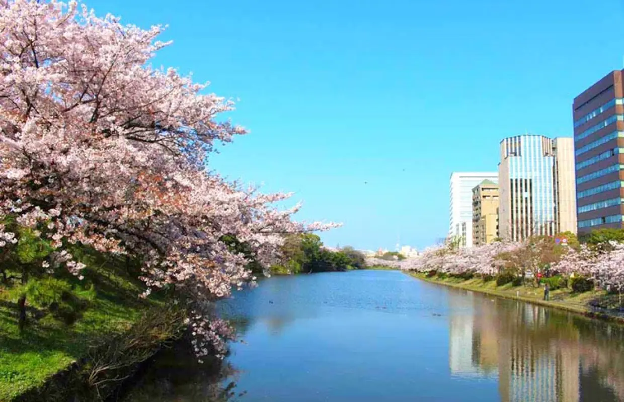 【日本旅遊】櫻花戀九州～日本百選櫻情、熊本熊雙電車、柳川扁舟搖船、阿蘇溫泉體驗五日