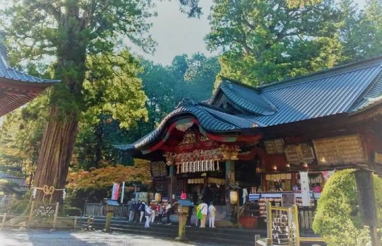 【日本旅遊】KHH東京感蟹季～山中湖白鳥號、三大蟹涮涮鍋、和牛燒肉吃到飽、御殿場OUTLET五日