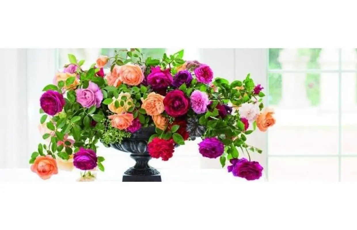 [Kumamoto, Kumamoto City] Flower arranging experience with seasonal fresh flowers! (60-minute plan) Come empty-handed!