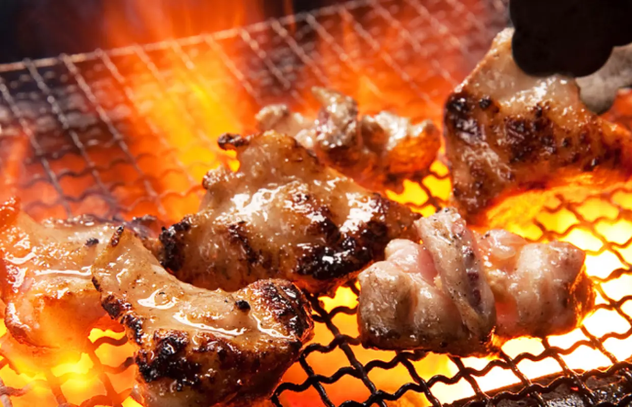 Ryogoku/Kinshicho, Tokyo | Yakitori (Grilled Skewers) Toriya Ebisu (Ryogoku Branch) | Seat Reservation Only