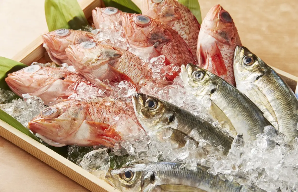 Tỉnh Aichi, Khu vực Anjo, Chiryu và Kariya | Tempura tại Seafood Sushi Shokudo Nihon no Umi (Chi nhánh ga Kariya) | Chỉ đặt chỗ