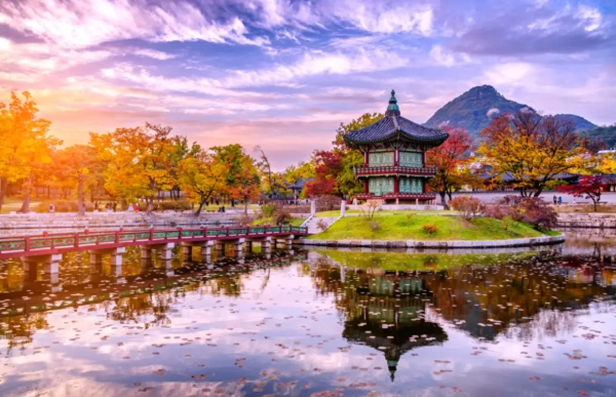 【韓國旅遊】韓國櫻紛飛～樂天世界、陶唐山賞夜櫻、馬格利酒手作、全程五星飯店五日