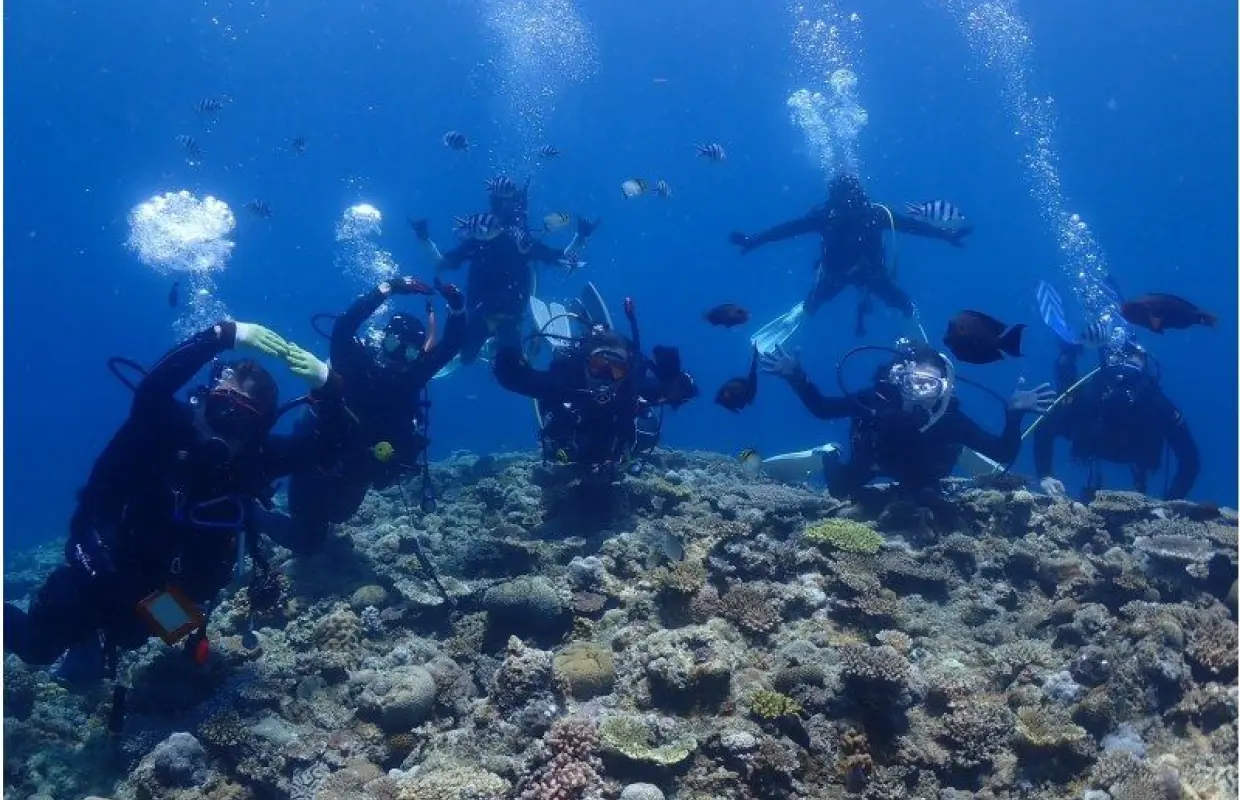 【PADI　オープンウォーターダイバー】ライセンス取得コース♪器材レンタル込み！
