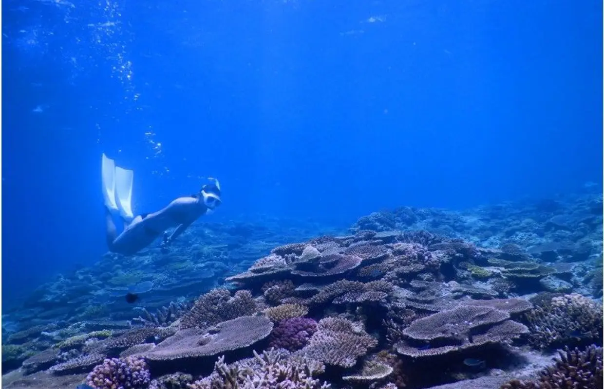 [Churaumi Aquarium, Nakijin Village, and other hidden beaches!] Private tour for one group! SUP & skin diving experience!