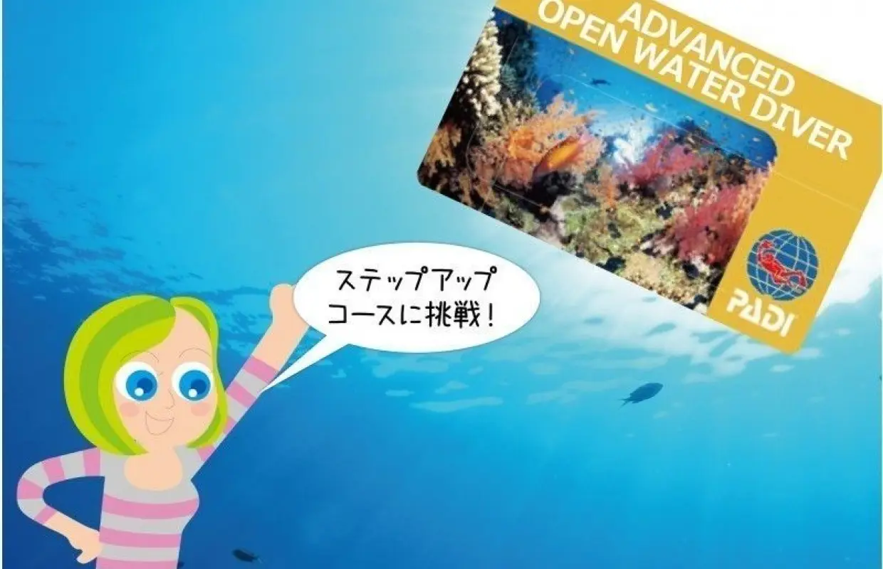 【沖縄・慶良間諸島】PADIアドヴァンスド・オープンウォーターダイバー講習2泊3日
