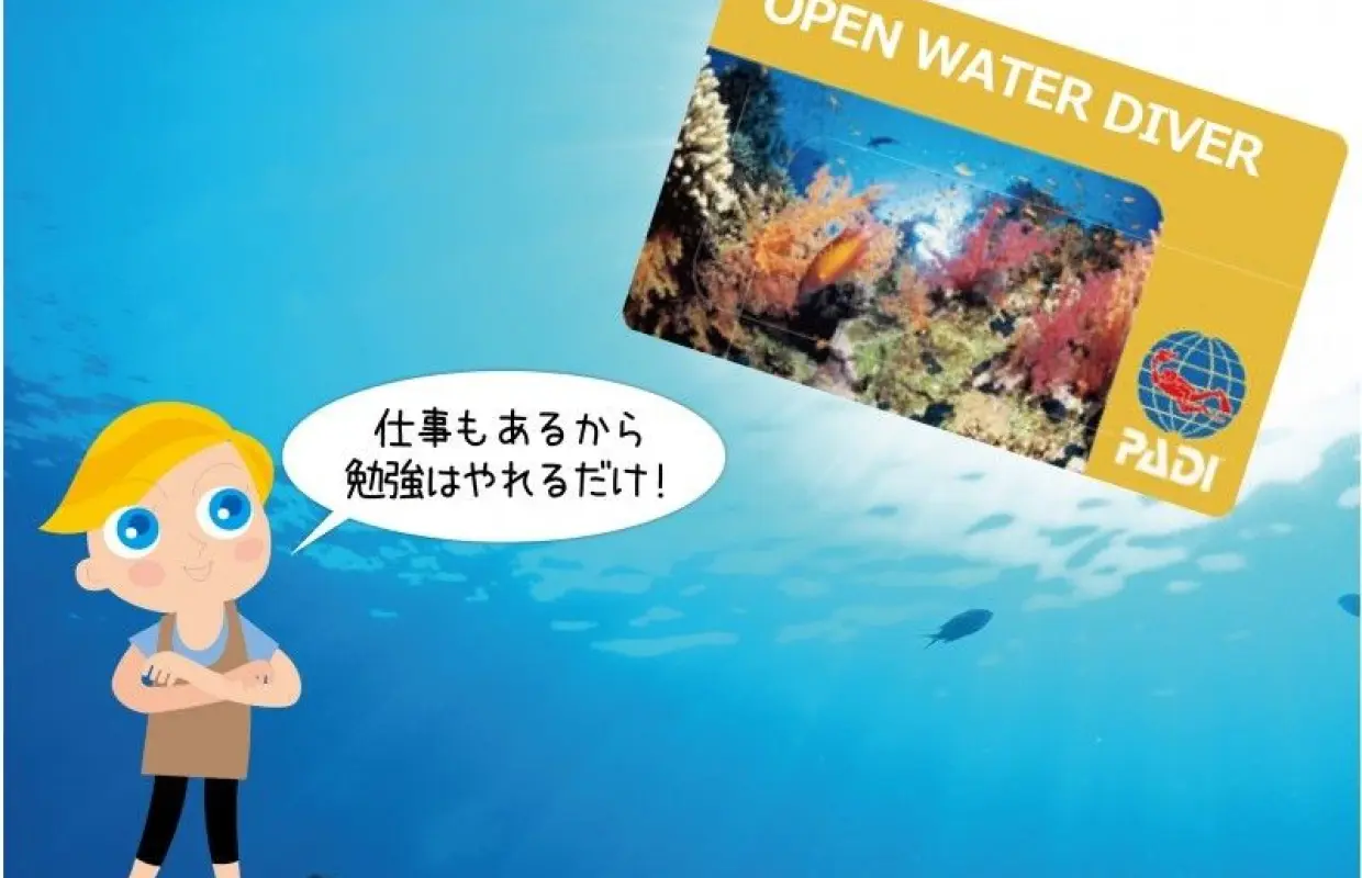 【沖縄・慶良間諸島】PADIオープンウォーターダイバー講習3泊4日｜エコノミーコース