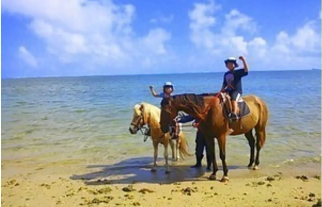 【沖縄・宮城島】 乗馬で海と林を楽しもう！ビーチと林トレッキング（90分コース）