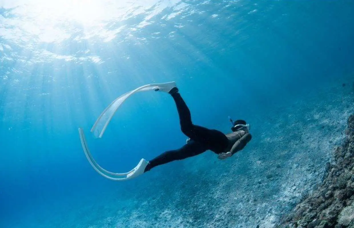 【水納島・瀬底島】ボートスキンダイビング2本　(8歳から参加OK) 写真・動画無料プレゼント