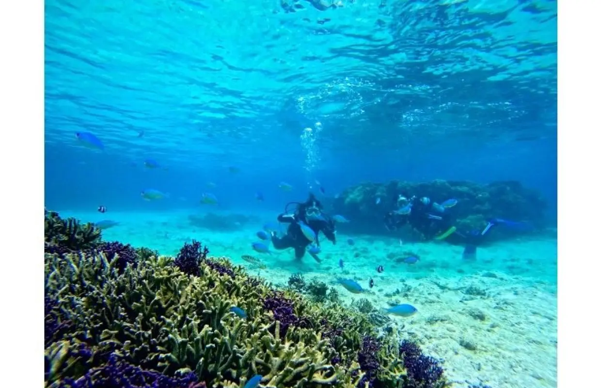 [Full-face mask diving experience (keep your face dry, safe, comfortable, and easy to breathe)] Hot showers & changing tents available, free GoPro, pick-up and drop-off available [Miyakojima]