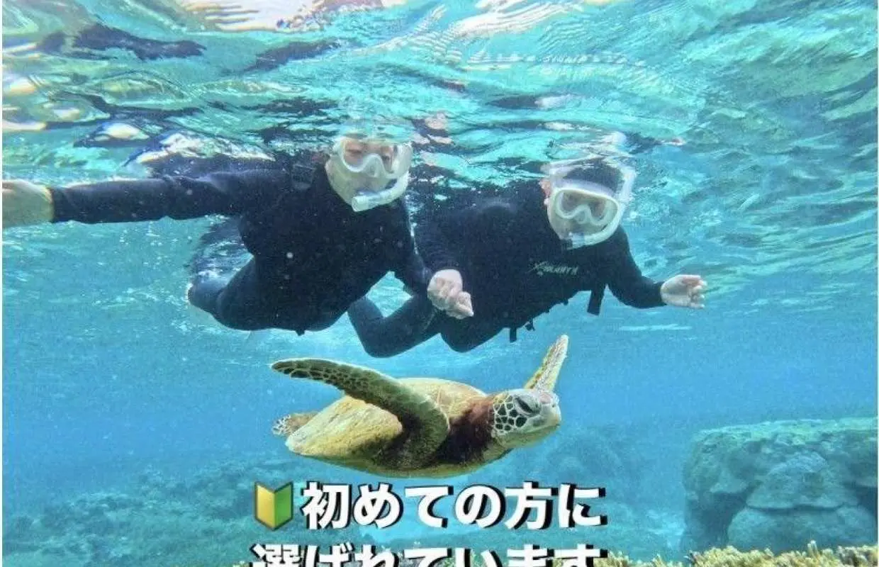【宮古島/年齢制限なし】ウミガメシュノーケル☆初体験歓迎☆2026年海亀遭遇継続中【12歳以下3900円/雨天可能/撮影付き/早朝可能】