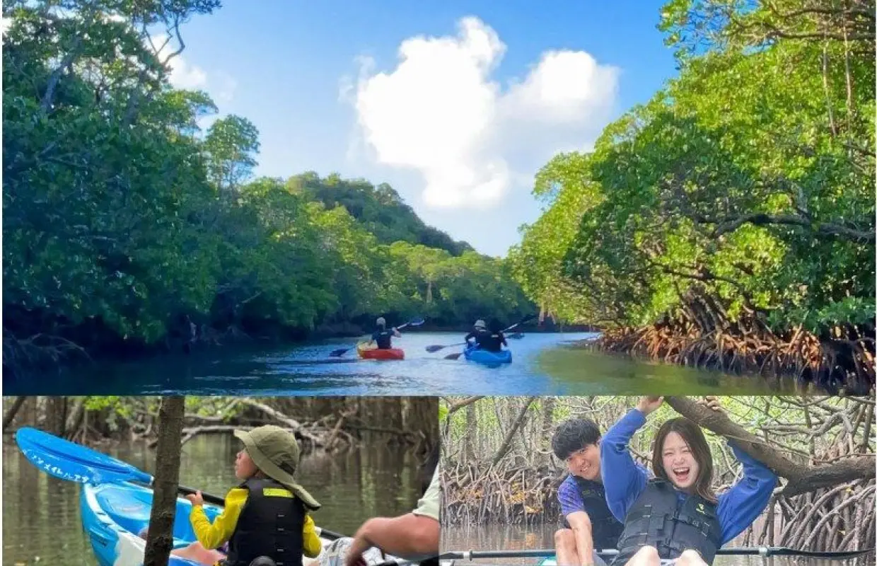 【石垣島】“2組だけ”の約束。国立公園プライベートカヤック。家族との特別な時間に《ガイドを独占＆高画質動画付／1300名超案内／評価4.9》