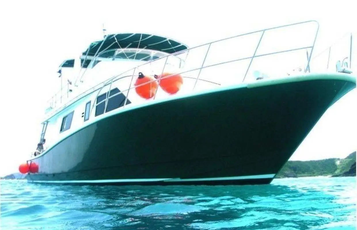 [Okinawa Prefecture, Kerama Islands] Free boarding on the final day in the Kerama Islands! PADI Open Water Course *Whale watching included from January to March