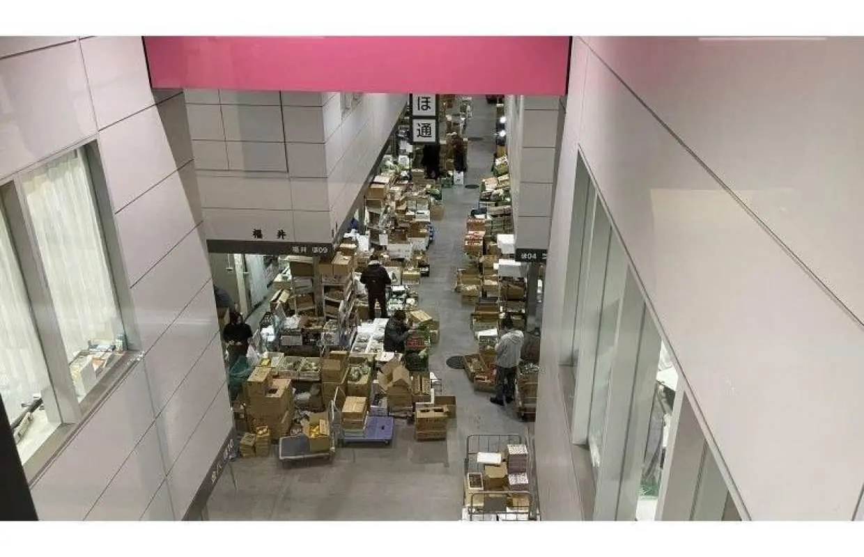 イヤホンガイド®＆小冊子付♪｜豊洲市場見学ツアー 全街区まるわかりコース【東京・豊洲】