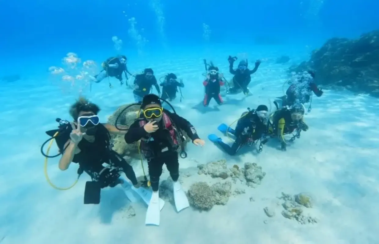 【神奈川・湘南】初心者大歓迎の体験ダイビング！写真動画データ無料プレゼント★器材等レンタル代全て込み★初心者歓迎・1人参加歓迎！