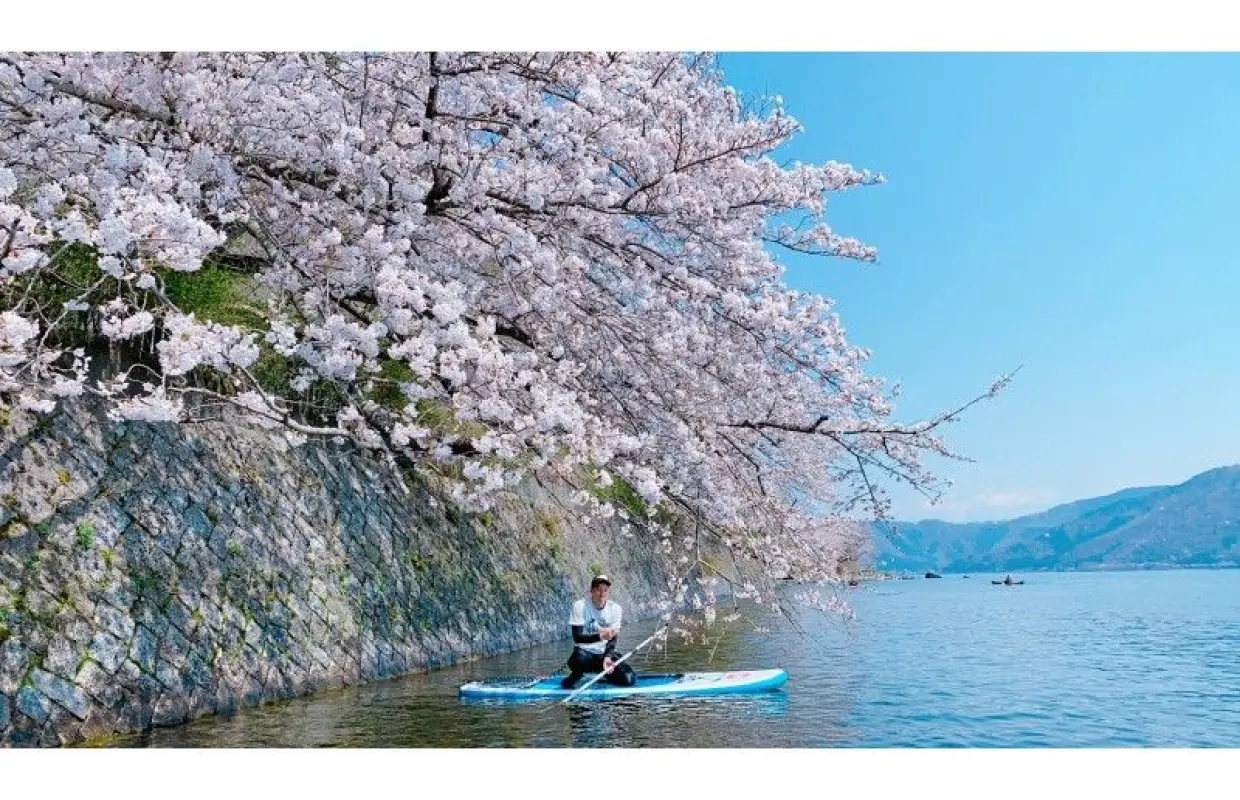 【滋賀・海津大崎】お花見人気滋賀県第一位☆春限定プラン☆SUPで満開の桜を最高のロケーションで楽しもう☆