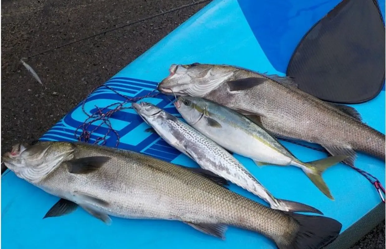 【神奈川・三浦海岸】supで釣りを楽しんじゃお！